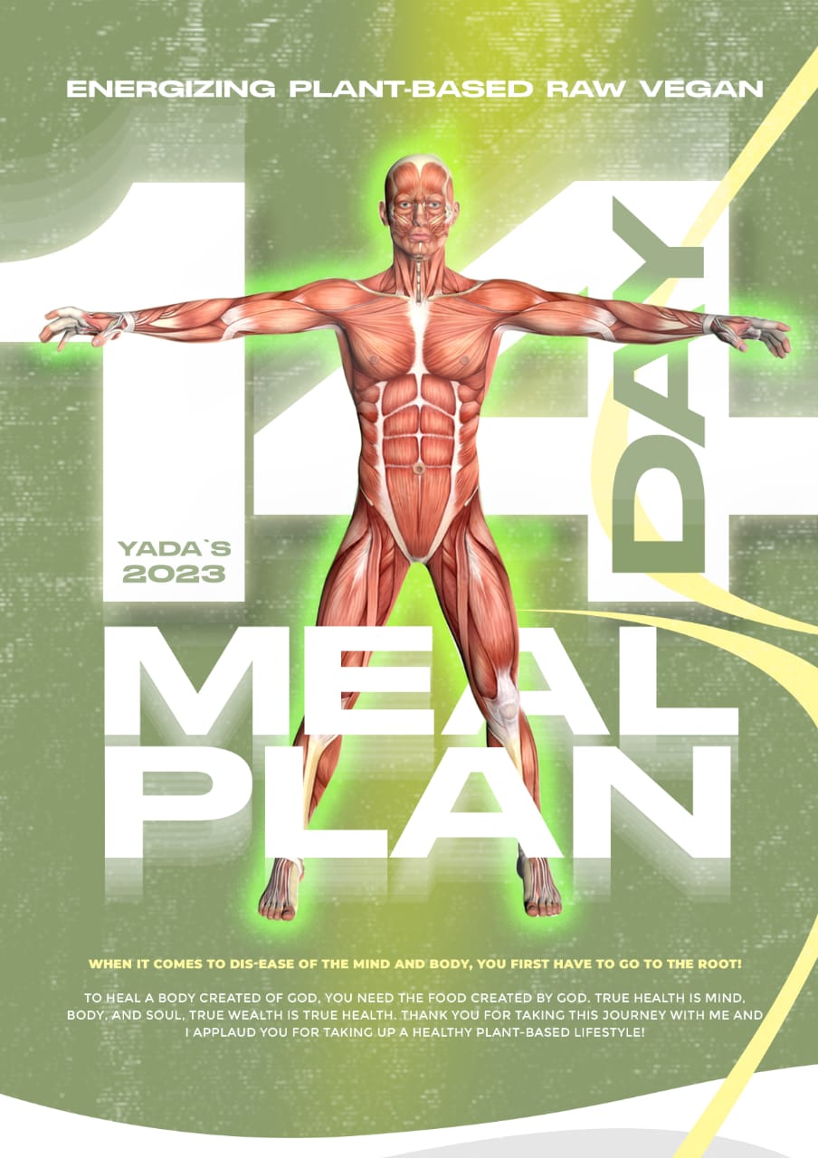 YADA'S 2023 14-DAY MEAL PLAN.